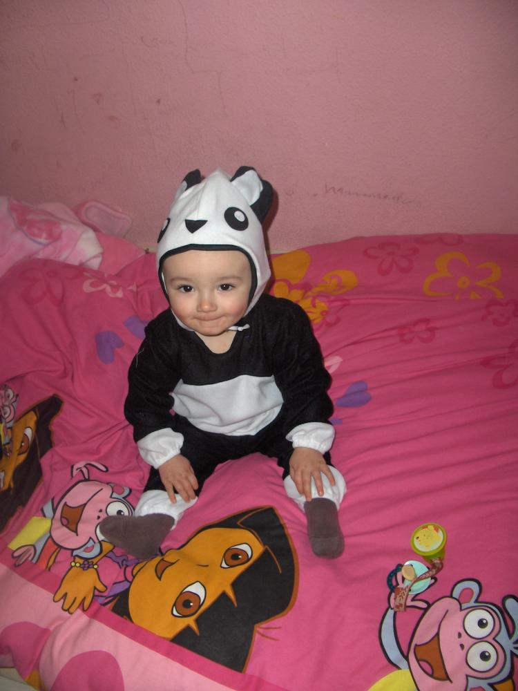 Isaac, l'osset panda