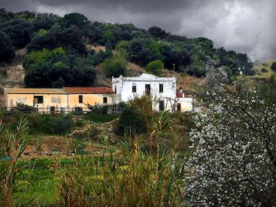 Foto 61565448 - Clica per mida completa