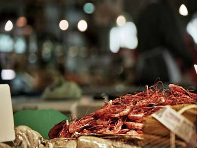 Foto 62933884 - Clica per mida completa