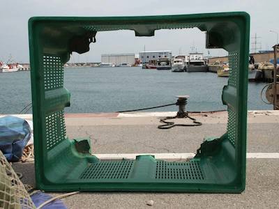 Foto 51875896 - Clica per mida completa