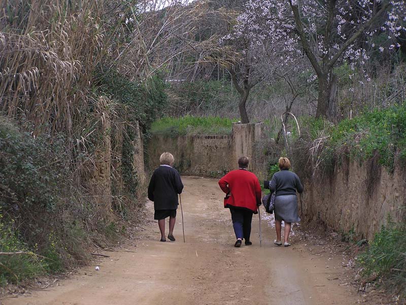 Un tomb per Arenys - Foto 62247578