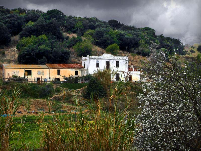 Un tomb per Arenys - Foto 61565448