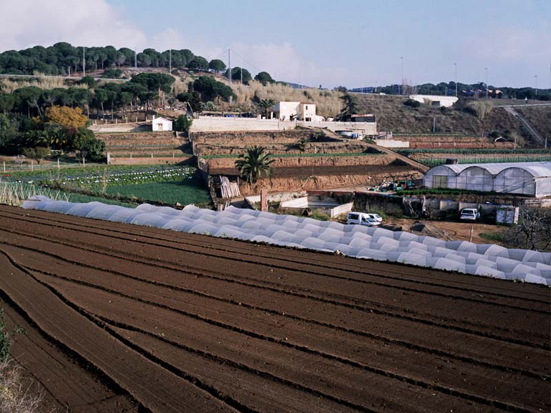 Un tomb per Arenys - Foto 15489396