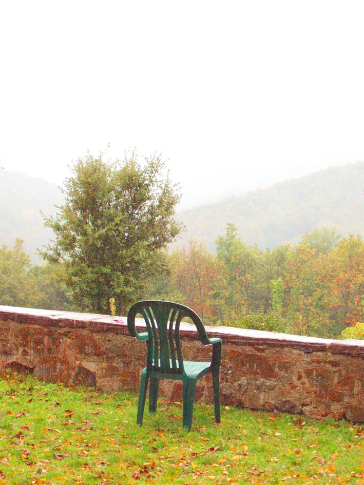 Passejada pel Montseny - Foto 67246931