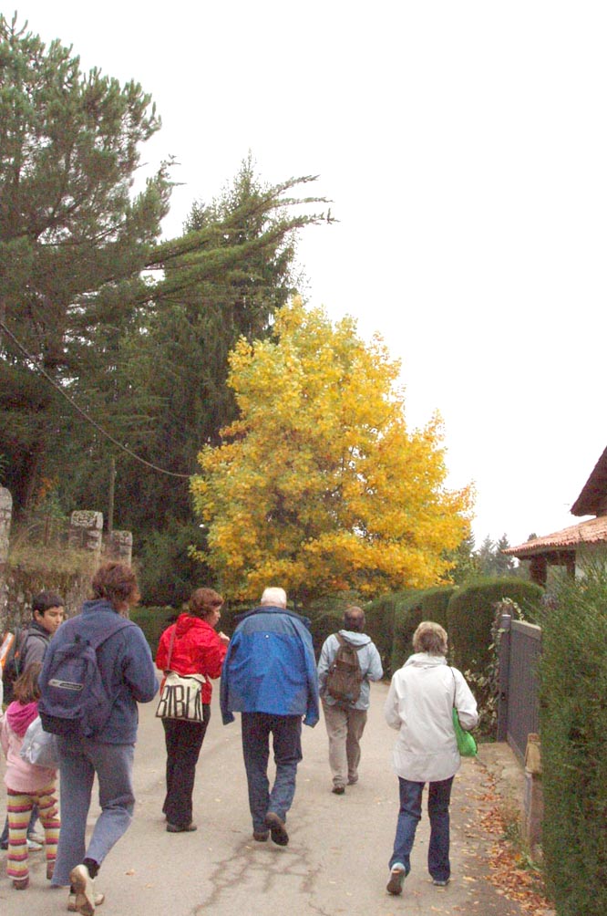 Passejada pel Montseny - Foto 39647500