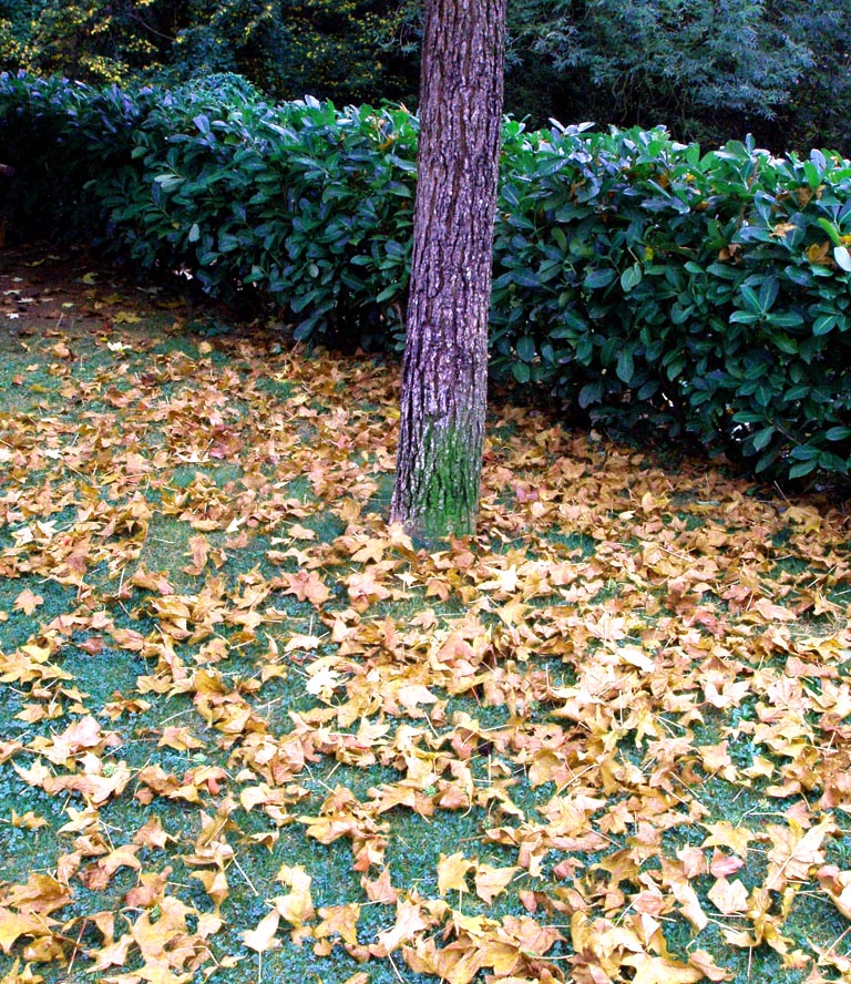 Passejada pel Montseny - Foto 96448036