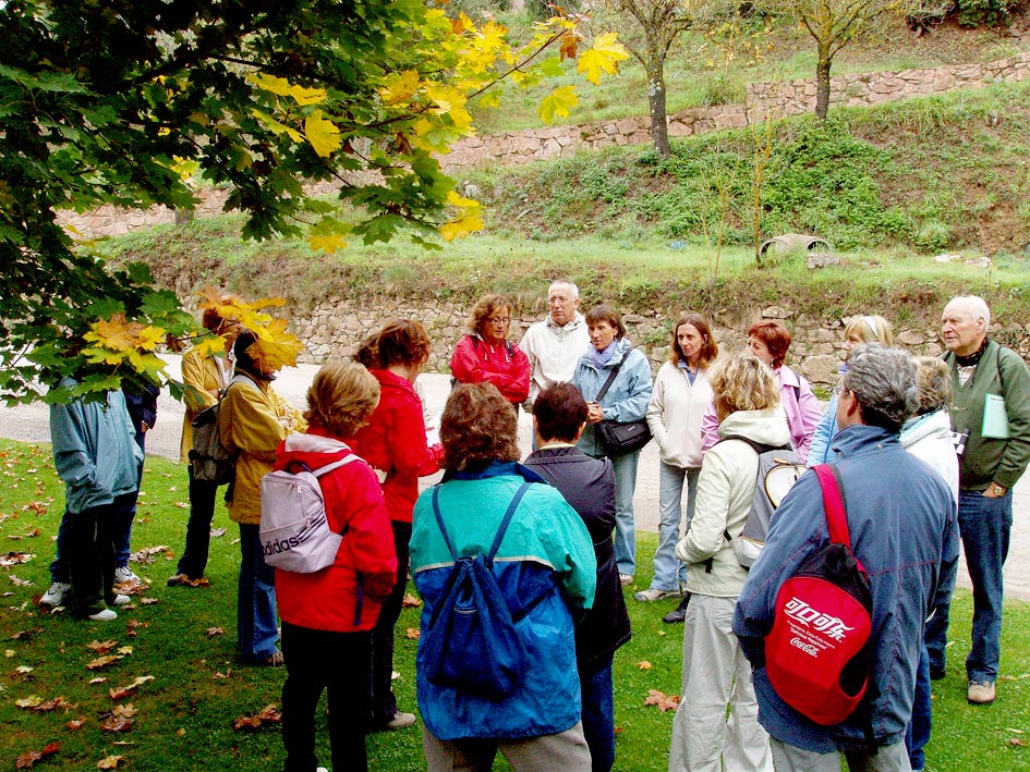 Passejada pel Montseny - Foto 80835302
