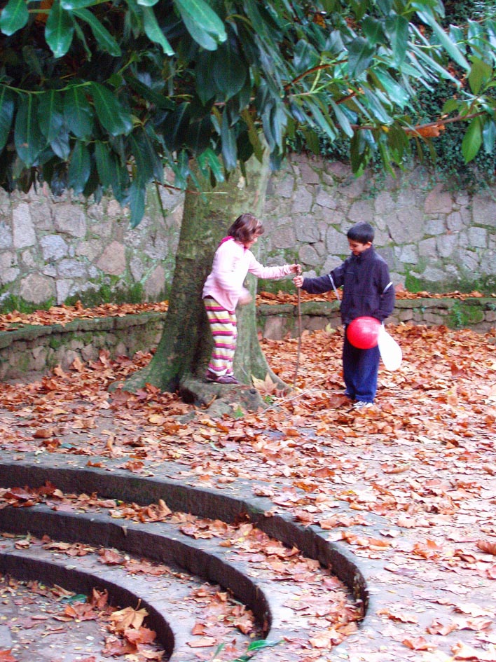 Passejada pel Montseny - Foto 57386163