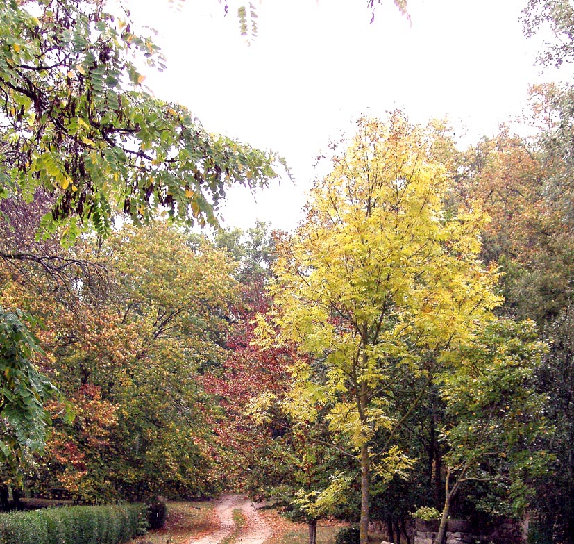 Passejada pel Montseny - Foto 15025956