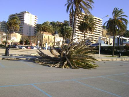 La ventada causa destrosses a la vila - Foto 38954371