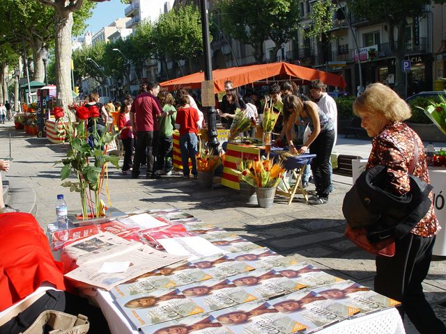 Sant Jordi 2009 - Foto 67558800