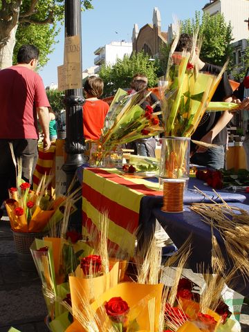 Sant Jordi 2009 - Foto 96036347