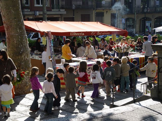 Sant Jordi 2009 - Foto 35987234