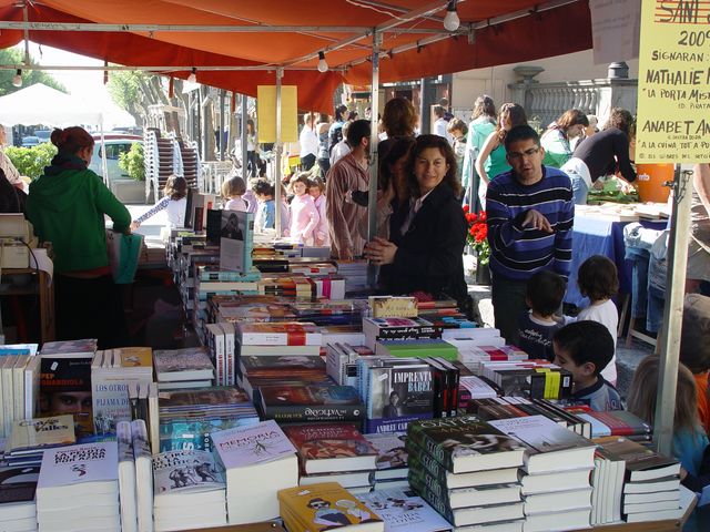 Sant Jordi 2009 - Foto 55844841