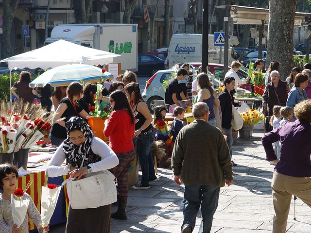 Sant Jordi 2009 - Foto 39970744