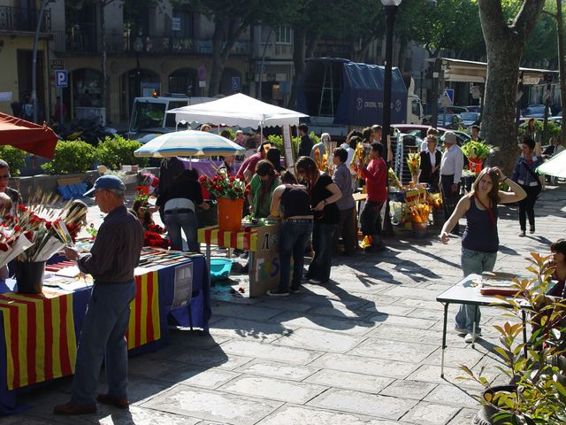 Sant Jordi 2009 - Foto 35466151