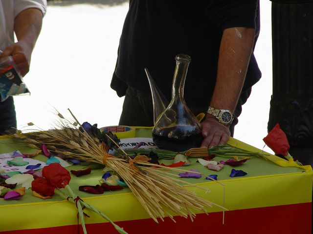 Sant Jordi 2009 - Foto 29031174