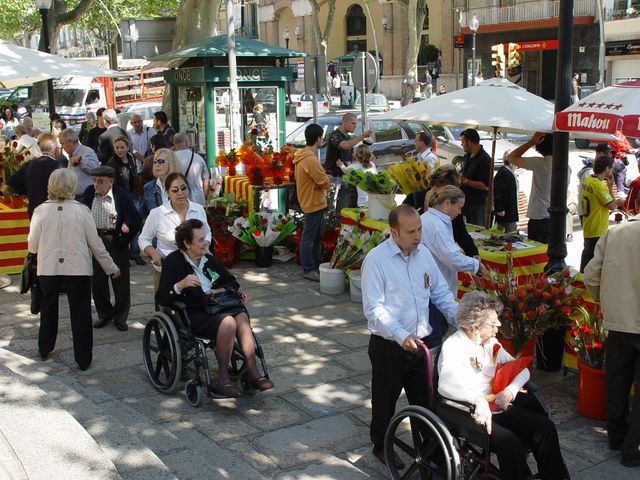 Sant Jordi 2009 - Foto 89867013