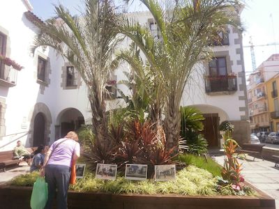 Pla�a de l'Ajuntament