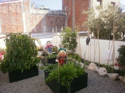 Patis del carrer Sant Ramon