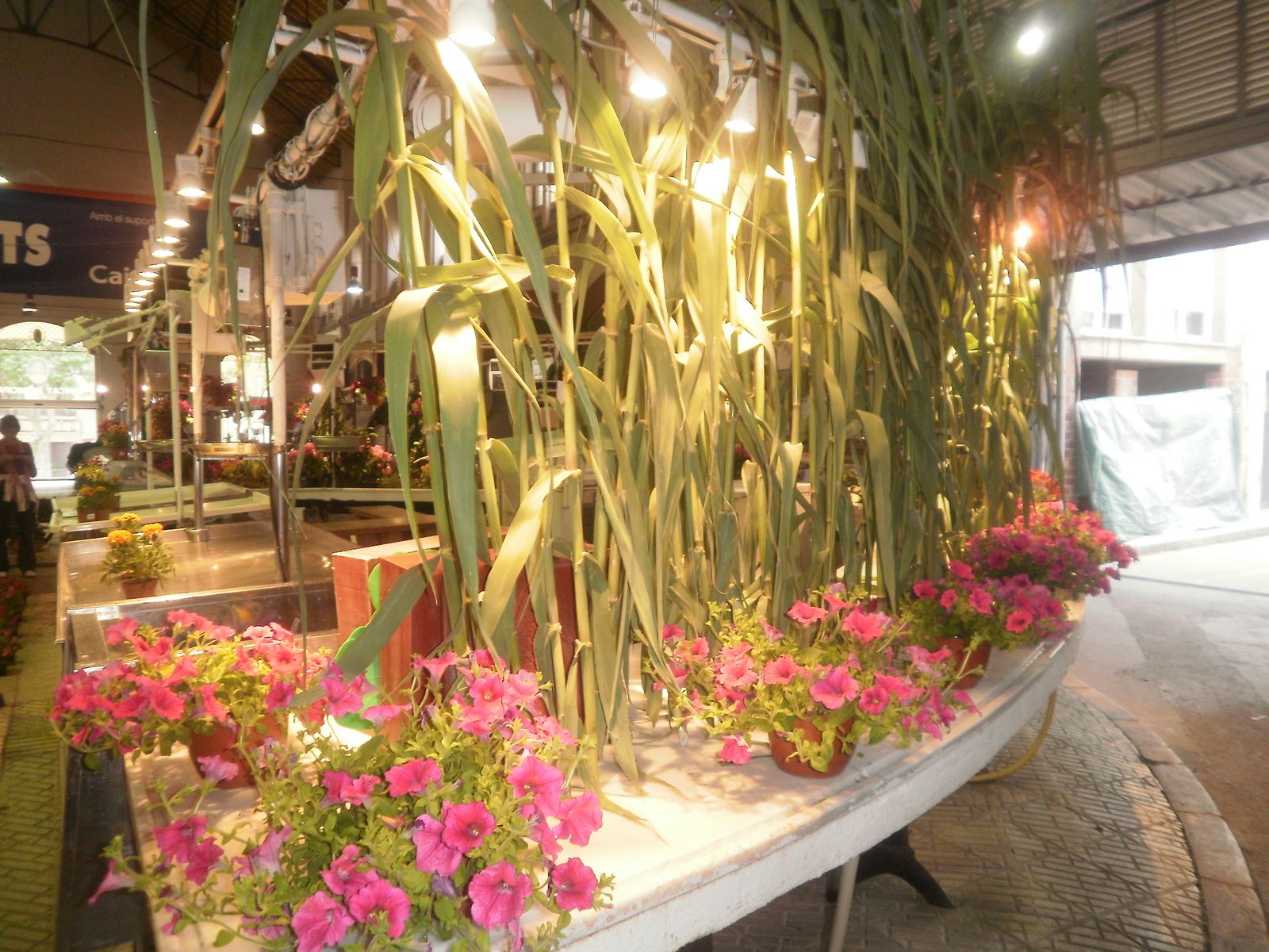 El Mercat Municipal