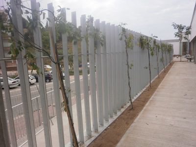 Entrada