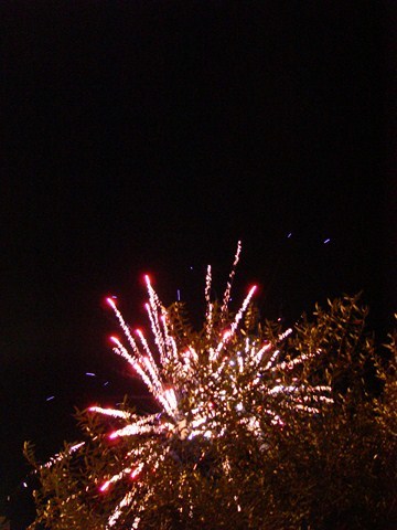 La Pesta arriba a Santa Maria