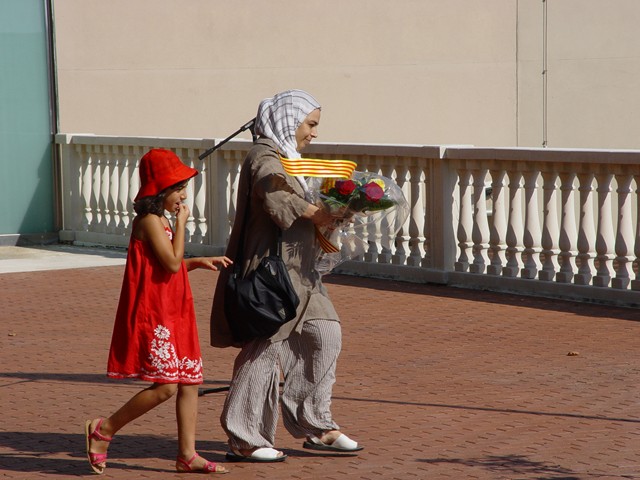 Recull fotogr�fic de la Diada Nacional de Catalunya 2011 - Foto 86957936