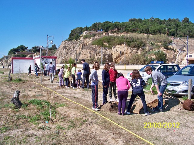 Recuperaci� ambiental a la platja del Cavai� - Foto 83663338