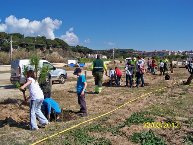 Recuperaci� ambiental a la platja del Cavai� - Foto 76193763
