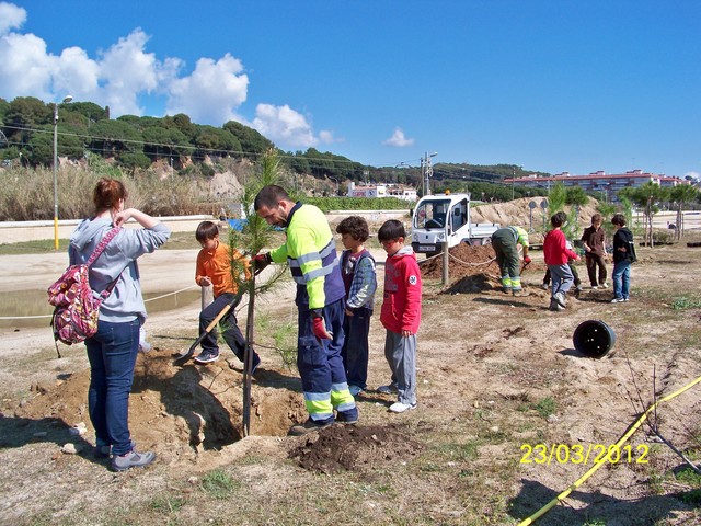 Recuperaci� ambiental a la platja del Cavai� - Foto 79637151