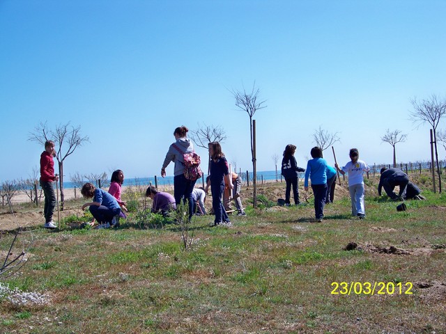 Recuperaci� ambiental a la platja del Cavai� - Foto 50538942