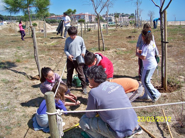 Recuperaci� ambiental a la platja del Cavai� - Foto 98828644