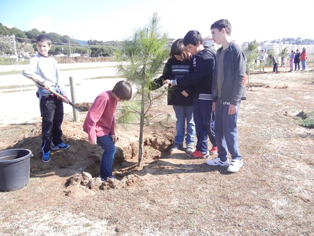 Recuperaci� ambiental a la platja del Cavai� - Foto 41355294