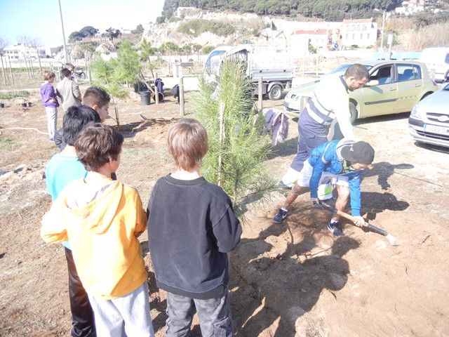 Recuperaci� ambiental a la platja del Cavai� - Foto 99038155