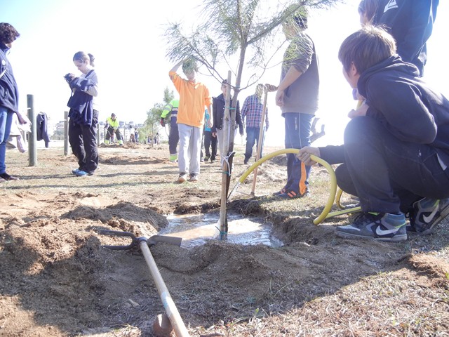 Recuperaci� ambiental a la platja del Cavai� - Foto 23699404