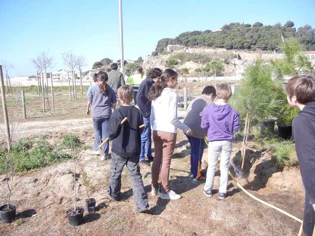 Recuperaci� ambiental a la platja del Cavai� - Foto 87339776