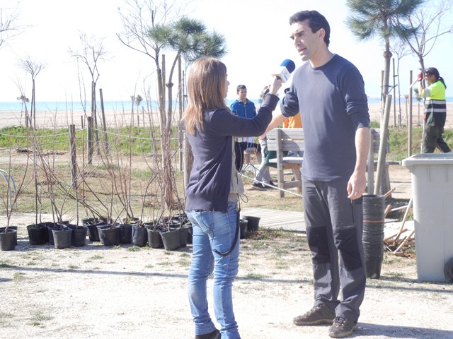 Recuperaci� ambiental a la platja del Cavai� - Foto 34929826