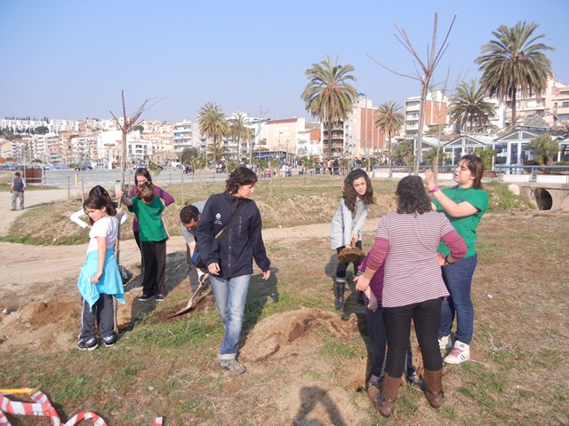 Recuperaci� ambiental a la platja de la Pic�rdia - Foto 52350811