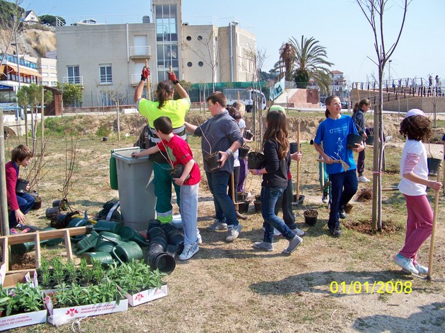 Recuperaci� ambiental a la platja de la Pic�rdia - Foto 88176863