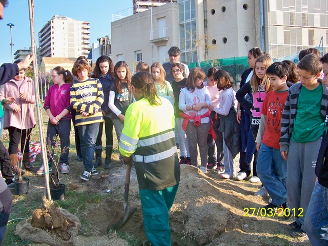 Recuperaci� ambiental a la platja de la Pic�rdia - Foto 31502987