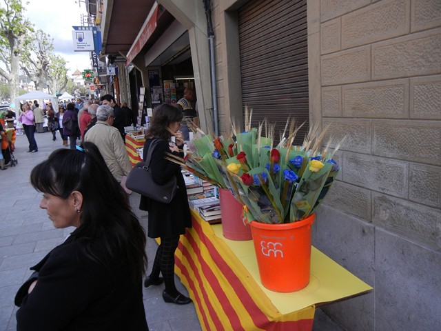 Sant Jordi 2012, les fotos. - Foto 95100285