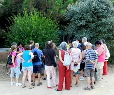 Passejada mediambiental a la recerca de plantes remeieres amb Carme Buxalleu