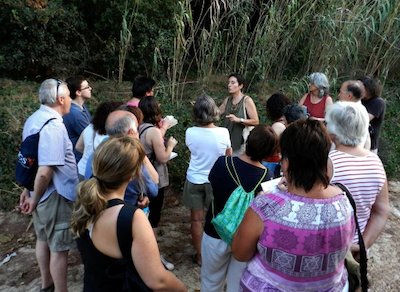 Passejada mediambiental a la recerca de plantes remeieres amb Carme Buxalleu
