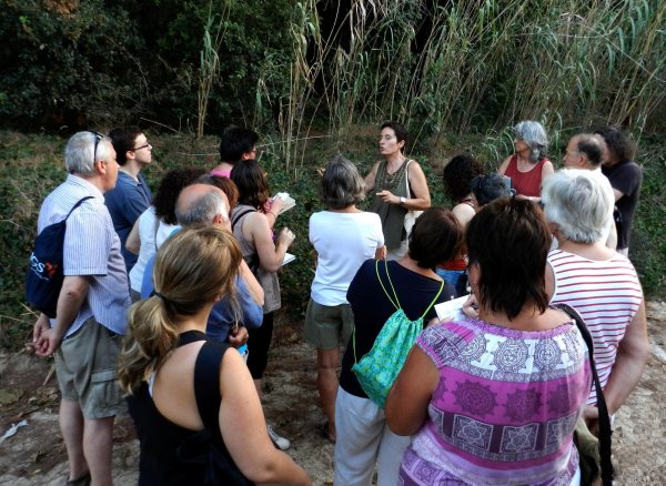 Passejada mediambiental a la recerca de plantes remeieres amb Carme Buxalleu