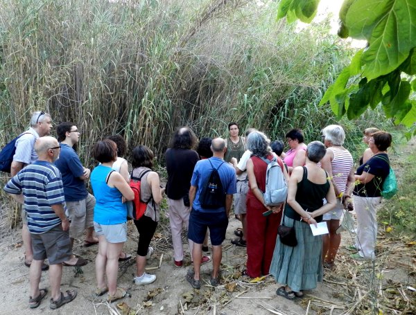 Passejada mediambiental a la recerca de plantes remeieres amb Carme Buxalleu