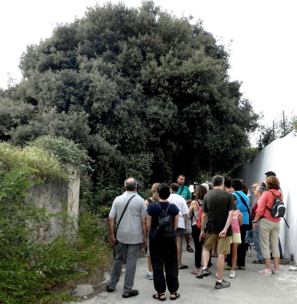 Passejada pels rials amb Enric Badosa