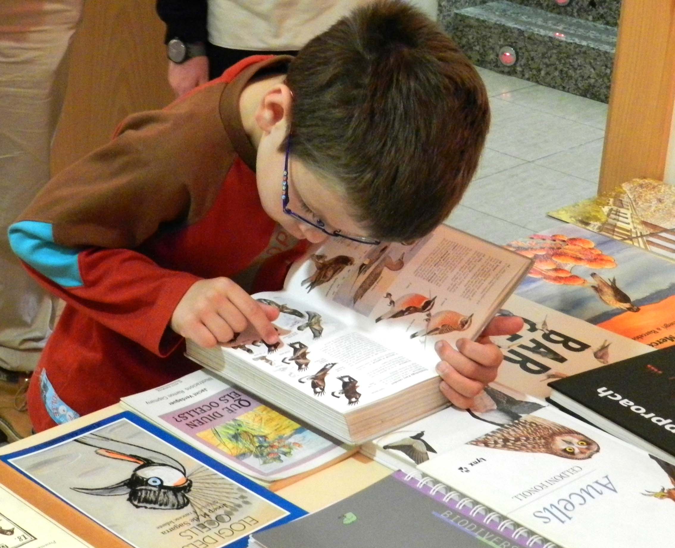 Taller "El cant dels ocells" - Pere Alzina Bilbeny (04/05/2013)