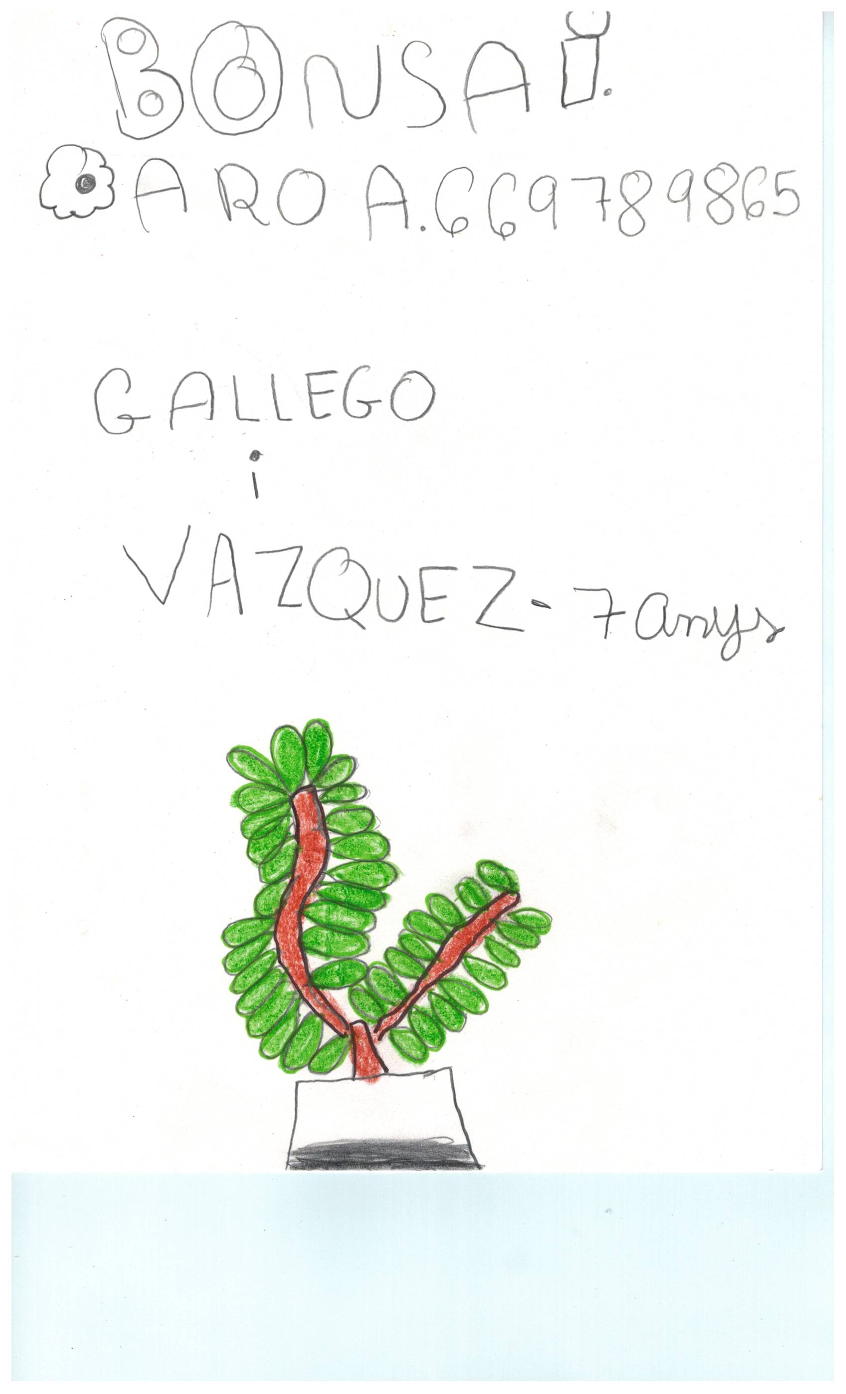 Aroa Gallego. 7 anys.