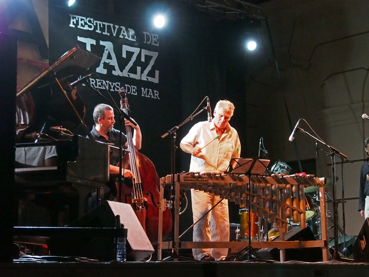 Imatges del 21 Festival de Jazz d'Arenys de Mar - 2012 - Foto 90251133